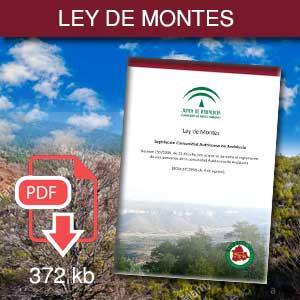 Ley de Montes Hispalis4x4 1